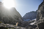 Beagle in the mountains
