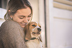 young Beagle