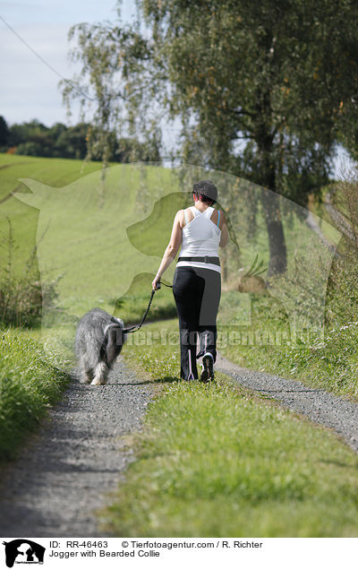 Jogger with Bearded Collie / RR-46463