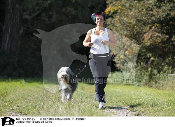Jogger mit Bearded Collie / Jogger with Bearded Collie / RR-46469