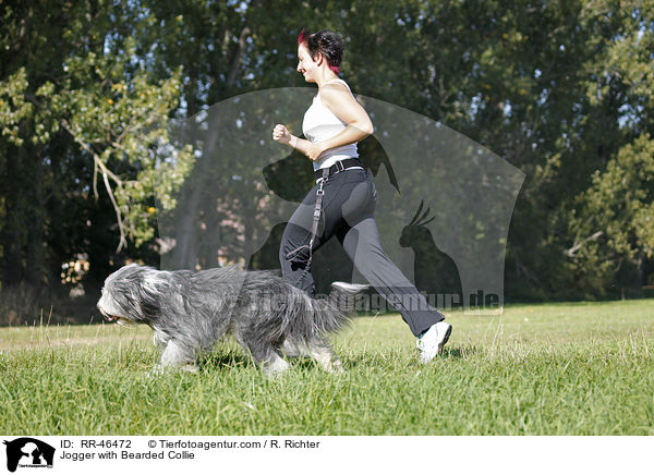 Jogger with Bearded Collie / RR-46472