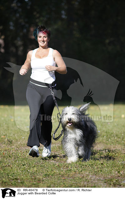Jogger with Bearded Collie / RR-46478