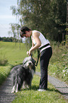 Jogger with Bearded Collie