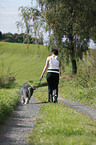 Jogger with Bearded Collie