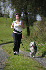 Jogger with Bearded Collie