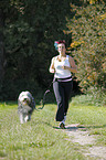 Jogger with Bearded Collie