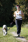 Jogger with Bearded Collie