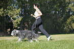 Jogger with Bearded Collie