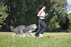 Jogger with Bearded Collie