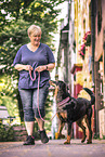 female Beauceron