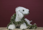 lying Bedlington Terrier