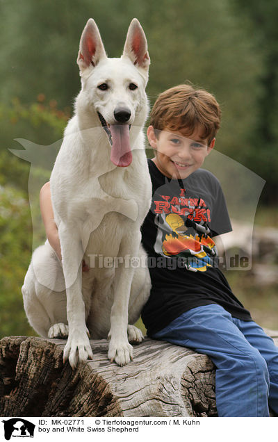 boy and White Swiss Shepherd / MK-02771