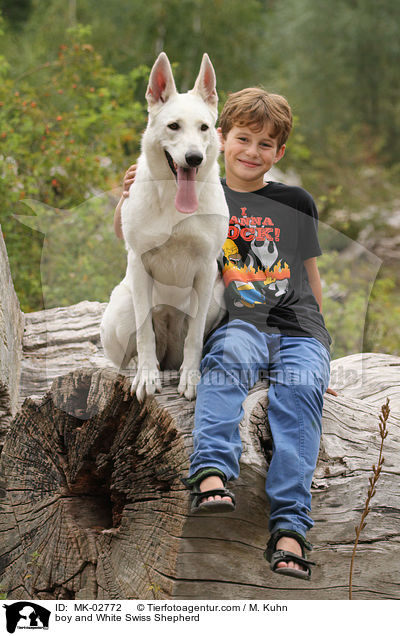 boy and White Swiss Shepherd / MK-02772