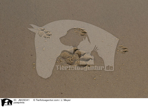 Pfotenabdrcke / pawprints / JM-09341