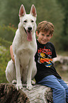 boy and White Swiss Shepherd