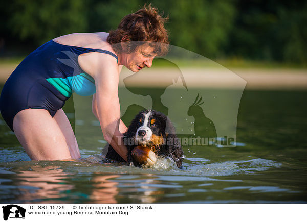 woman and young Bernese Mountain Dog / SST-15729