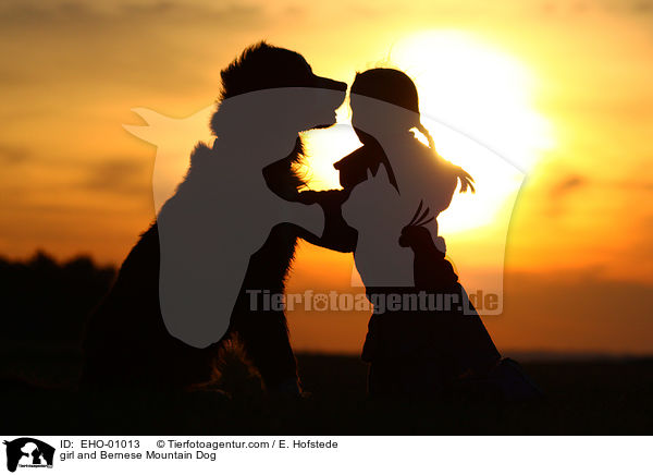 girl and Bernese Mountain Dog / EHO-01013