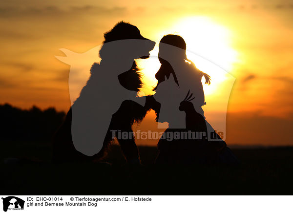 girl and Bernese Mountain Dog / EHO-01014