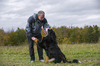 Bernese Mountain Dog gives paw