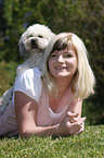 young woman with Bichpoo