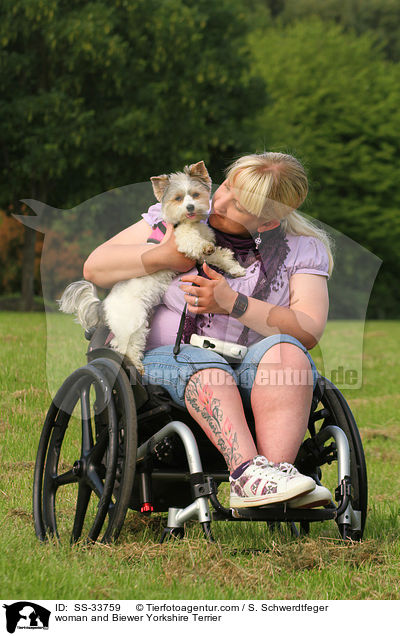 woman and Biewer Yorkshire Terrier / SS-33759