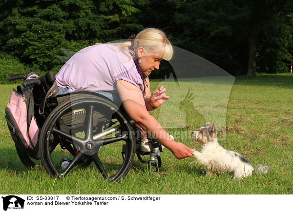 woman and Biewer Yorkshire Terrier / SS-33817