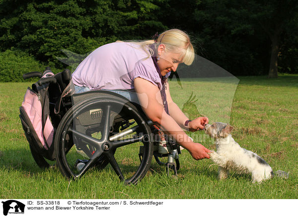 woman and Biewer Yorkshire Terrier / SS-33818