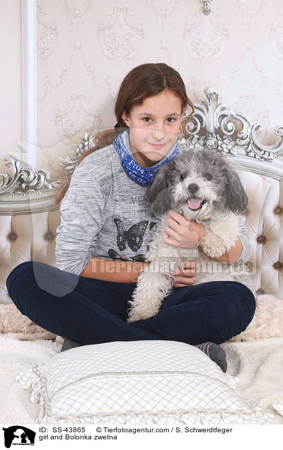Mdchen und Bolonka zwetna / girl and Bolonka zwetna / SS-43865