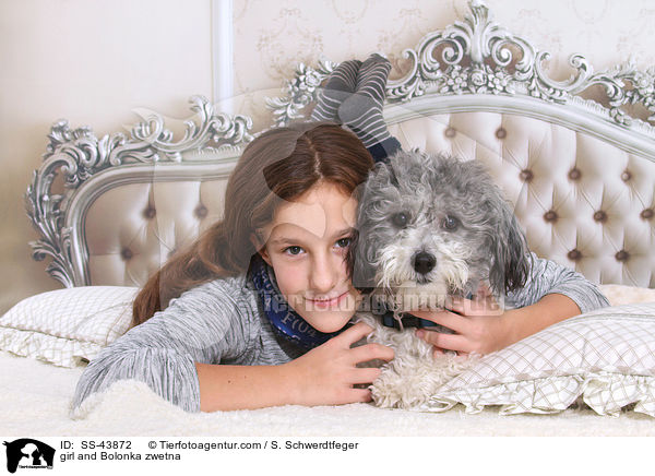 Mdchen und Bolonka zwetna / girl and Bolonka zwetna / SS-43872