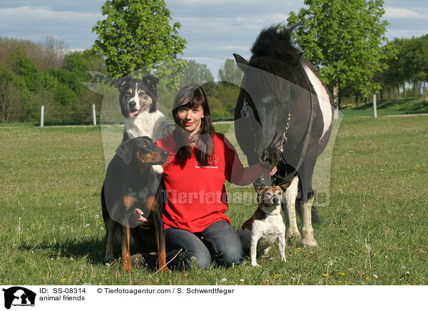 tierische Freunde / animal friends / SS-08314