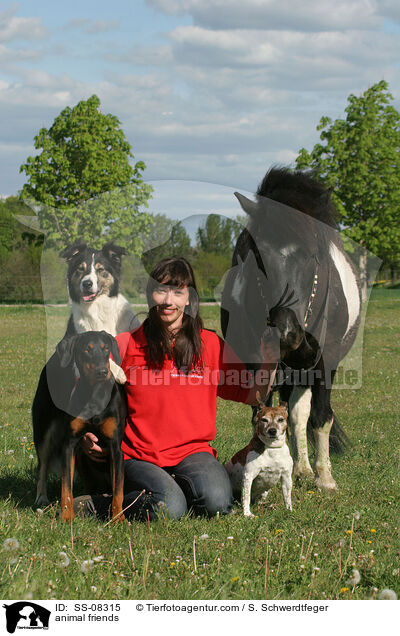 tierische Freunde / animal friends / SS-08315