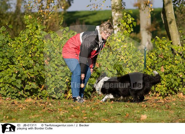 spielen mit Border Collie / playing with Border Collie / JB-01311