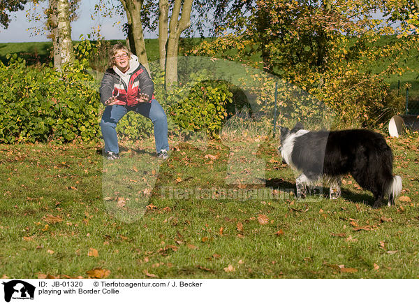 playing with Border Collie / JB-01320