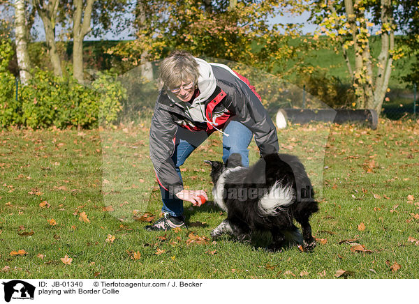 spielen mit Border Collie / playing with Border Collie / JB-01340