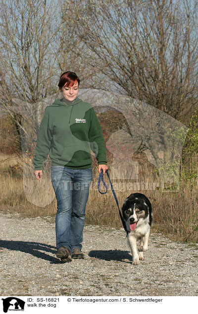 Gassi gehen mit Border Collie / walk the dog / SS-16821