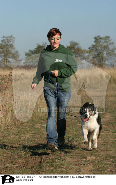 walk the dog / SS-16827