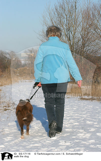 Gassi gehen mit Border Collie / walk the dog / SS-17116