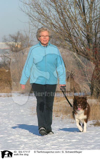 Gassi gehen mit Border Collie / walk the dog / SS-17117