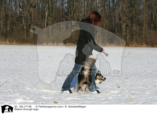 Slalom through legs / SS-17146