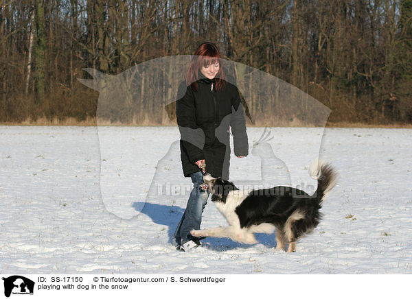 playing with dog in the snow / SS-17150