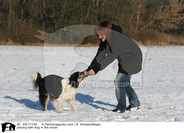 playing with dog in the snow / SS-17156