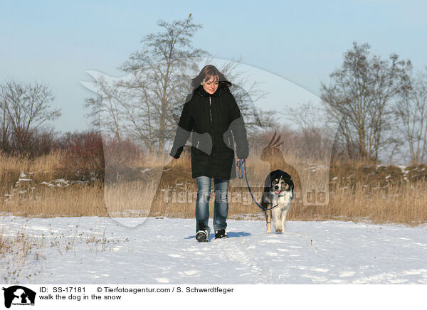 walk the dog in the snow / SS-17181