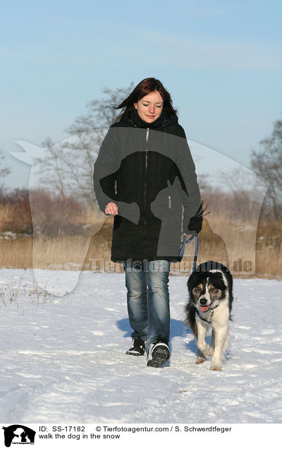 walk the dog in the snow / SS-17182