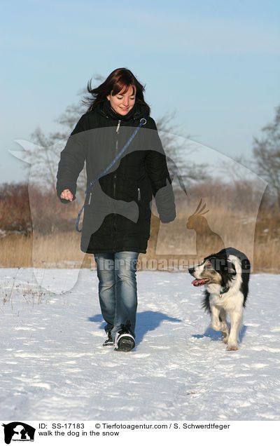 walk the dog in the snow / SS-17183