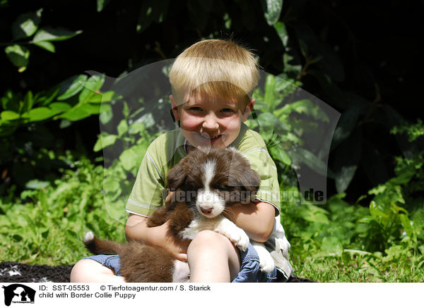Kind mit Border Collie Welpe / child with Border Collie Puppy / SST-05553
