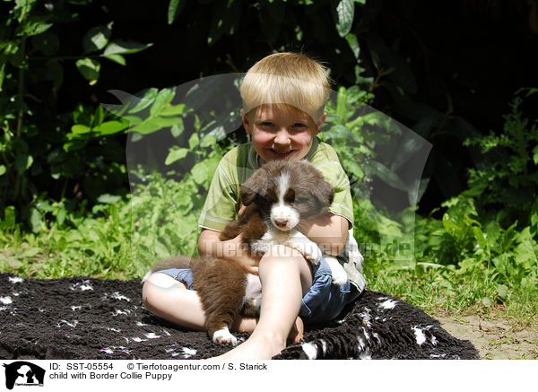 Kind mit Border Collie Welpe / child with Border Collie Puppy / SST-05554