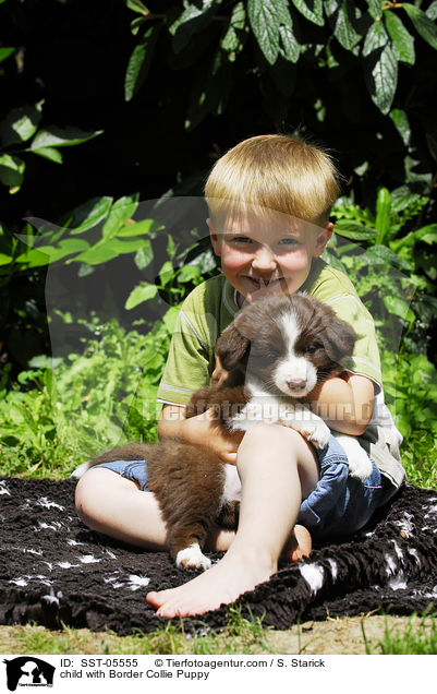 Kind mit Border Collie Welpe / child with Border Collie Puppy / SST-05555