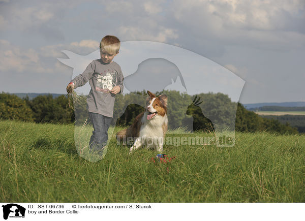 Junge und Border Collie / boy and Border Collie / SST-06736