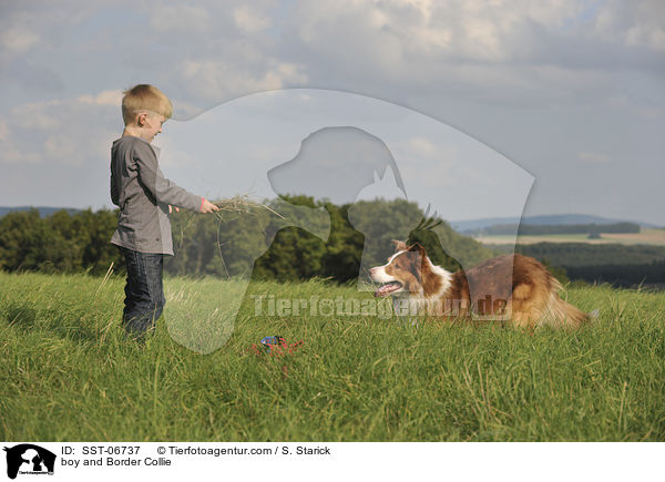 Junge und Border Collie / boy and Border Collie / SST-06737
