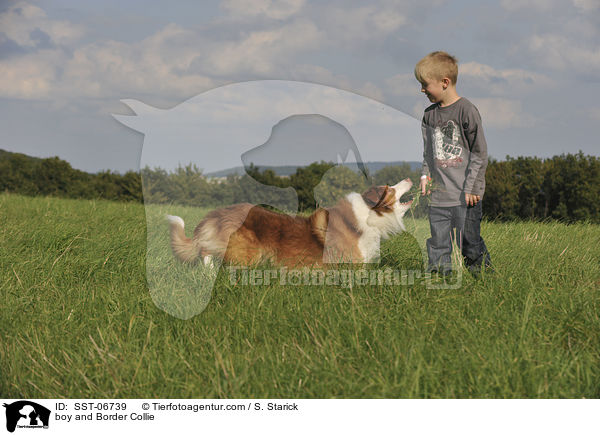 Junge und Border Collie / boy and Border Collie / SST-06739
